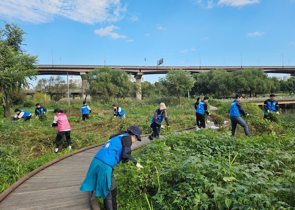 브라더코리아 임직원들이 17일 강남구 양재천 일대에서 '생물다양성 보전 및 환경정화 봉사활동'을 하고 있다. [사진=브라더코리아]<br>" height="428" loading="lazy